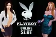 Microgaming Masterjudibola